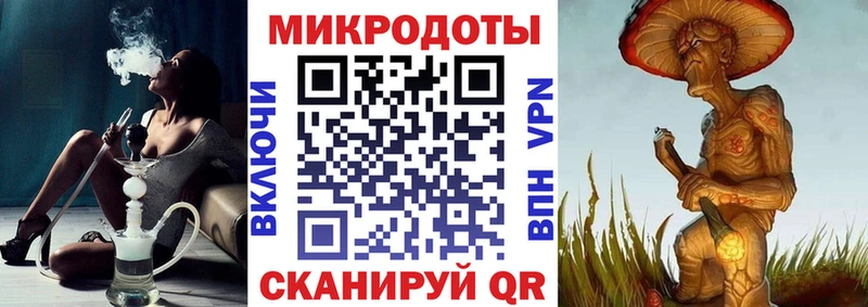 площадка клад  Балабаново  Псилоцибиновые грибы Psilocybine cubensis 